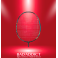 YONEX RAQUETTE ASTROX 88S TOUR 