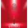 YONEX RAQUETTE ARCSABER 11 PRO