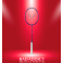 VICTOR RAQUETTE THRUSTER RYUGA