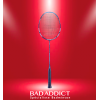 BABOLAT RAQUETTE SATELITE POWER 
