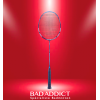BABOLAT RAQUETTE SATELITE ESSENTIAL 