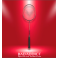 VICTOR RAQUETTE THRUSTER RYUGA CLS C