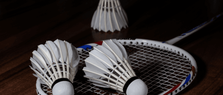 Volants de Badminton - BadAddict